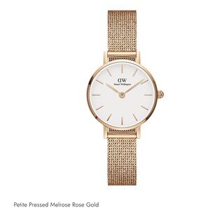 Daniel Wellington Rose Gold Mesh Women's Watch